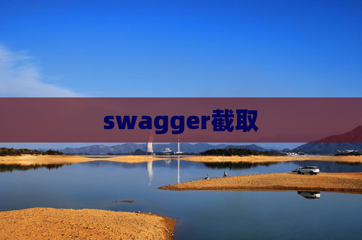swagger截取